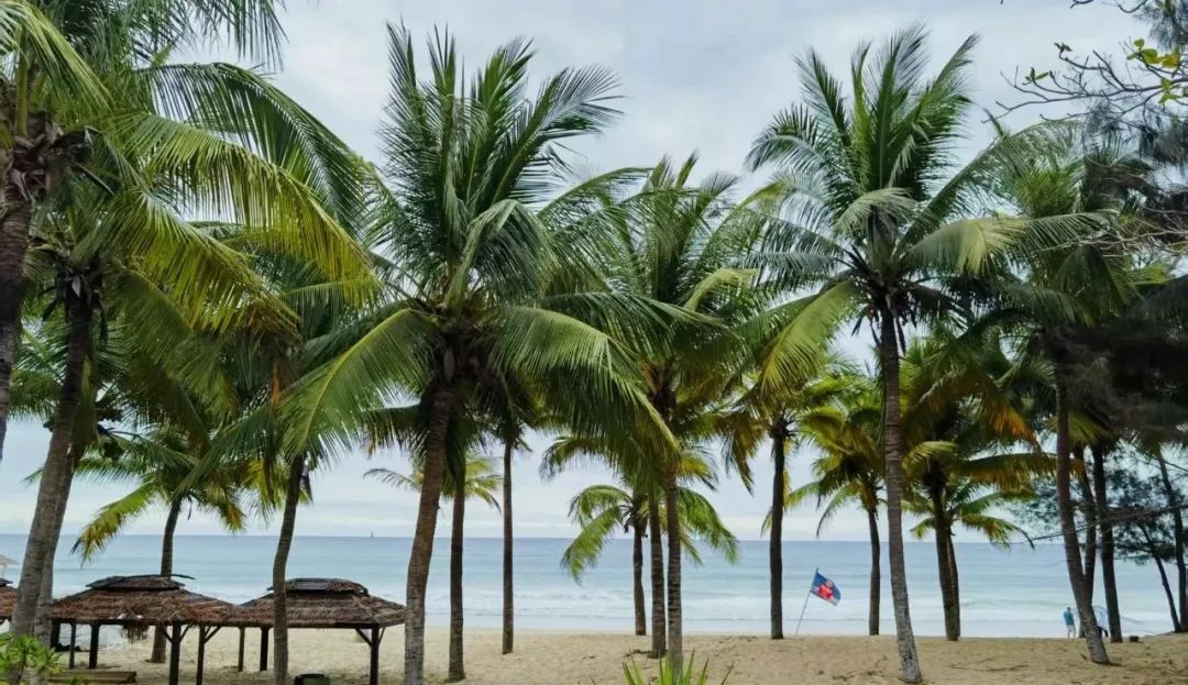 从剧场到直播间:演艺行业的新生态观察
